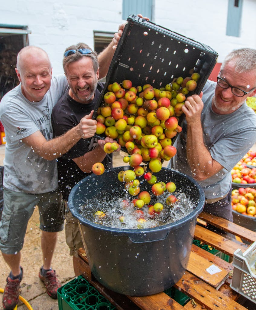 Three men washing apples with a splash of water in a farm setting, enjoying the task.
